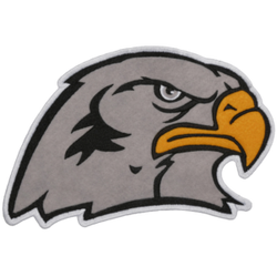 HAWK View 1