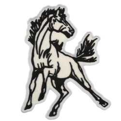 MUSTANG View 1