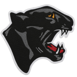 PANTHER View 1
