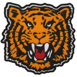 TIGER View 1