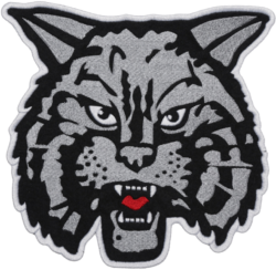 WILDCAT
